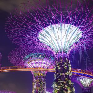Singapore Stopover