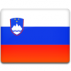 Slovenia-Flag-icon Slovenia-Flag-icon