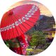 Round-Image-for-head-line-latest-news Round-Image-for-head-line-latest-news